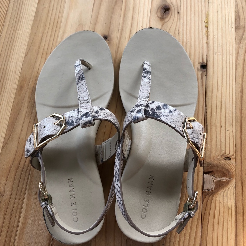 Cole Haan Snake Skin Sandals Size 6